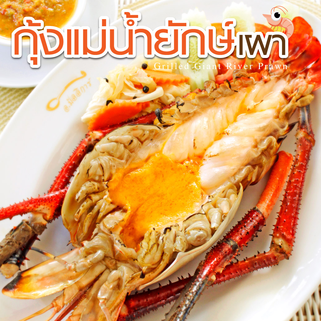 My Image 15